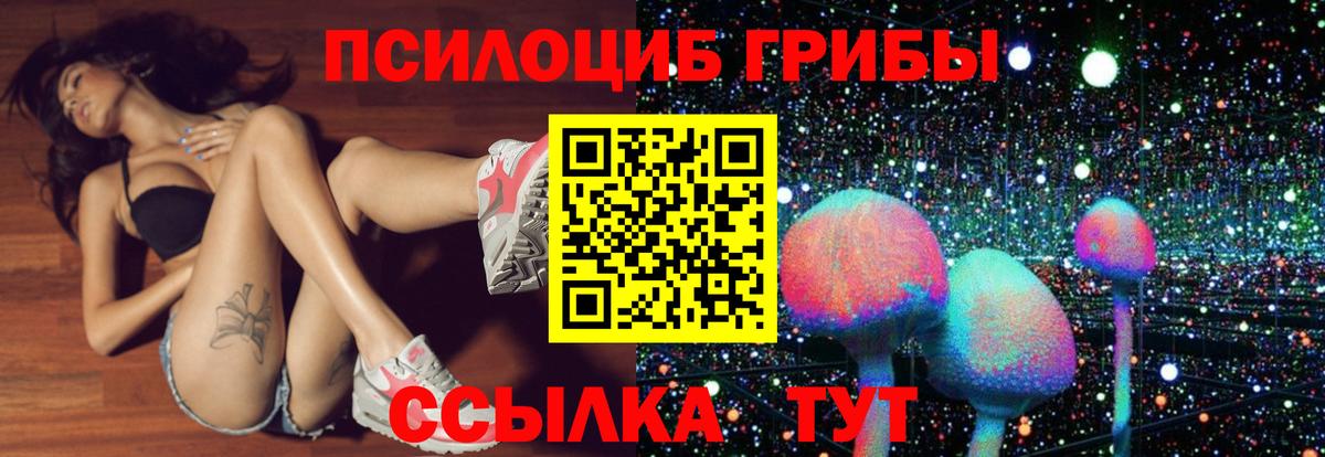Псилоцибиновые грибы MAGIC MUSHROOMS  закладки  Вход с VPN  Тихвин  Псилоцибиновые грибы GOLDEN TEACHER 